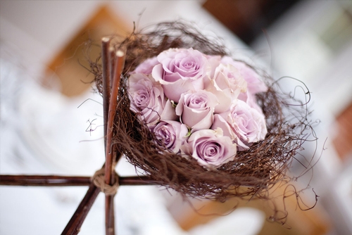 Image 1 from Pomp and Petals
