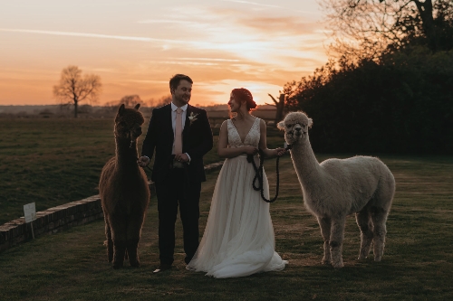 Image 3 from Hornington Manor Farm