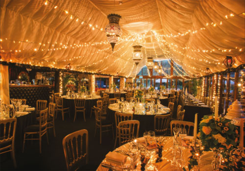 Image 2 from Crazy Bear Hotel