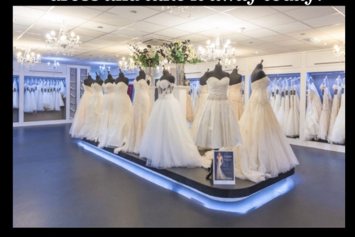 Serenity Brides