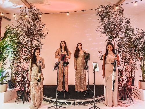 Image 3 from Jessie Wedding Violin