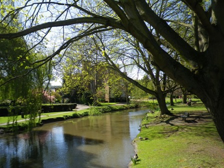 Gallery image: 4540_3.jpg 