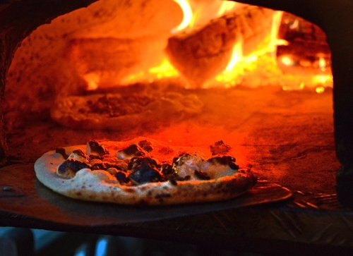 Gallery image: 49792_4.jpg 