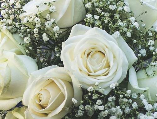 Gallery image: 52427_1.jpg 