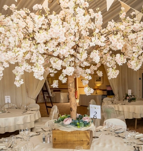 Gallery image: 56697_1.jpg 