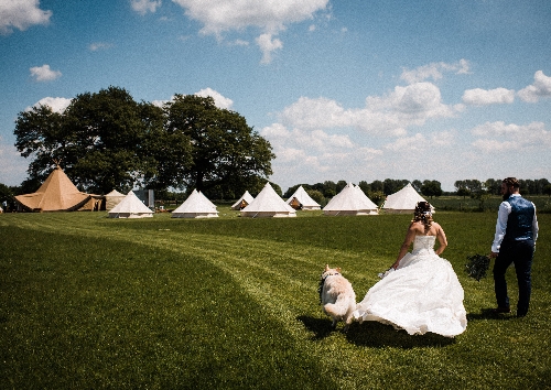 Image 6 from Escrick Park Estate