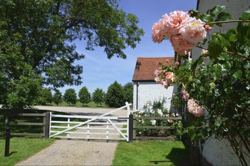 Gallery image: 59754_2.jpg 