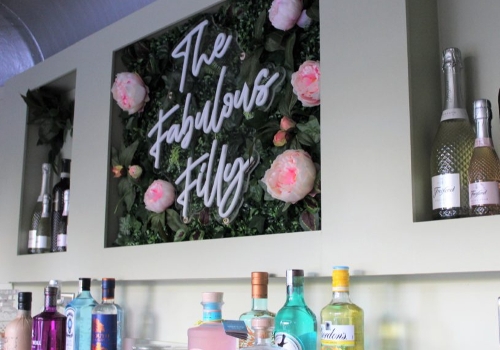 Image 1 from The Fabulous Filly