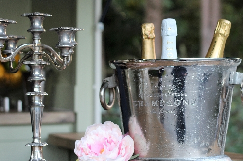Image 2 from The Fabulous Filly