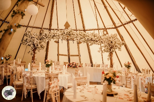 Gallery image: 66381_4.jpg 