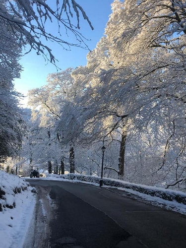 Image 1 from Shrigley Hall Hotel & Spa