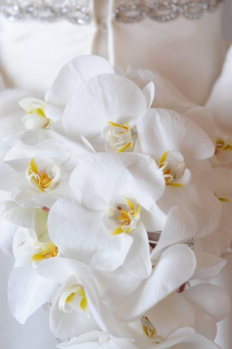 Image 3 from The Wright Choice Flowers