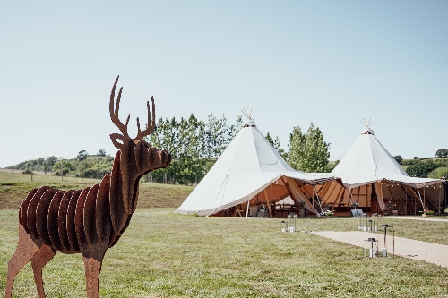 Image 1 from Deer Farm Tipi Weddings