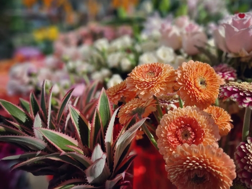 Gallery image: 69217_2.jpg 