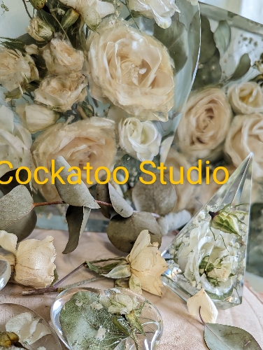 Image 2 from Cockatoo Studio