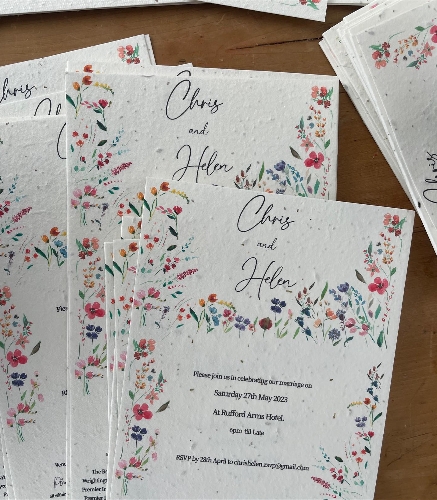 Lauren Young Illustration