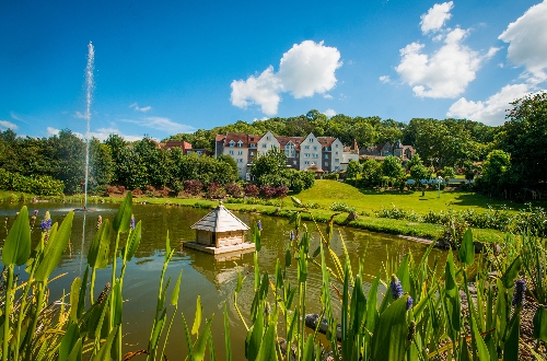 Gallery image: 70579_1.jpg 