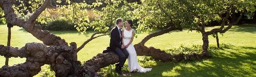 Gallery image: 71220_1.jpg 