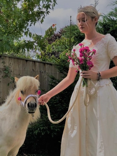 Image 1 from Pony n Paws