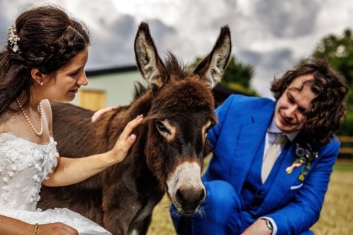 Gallery image: 72867_4.jpg 