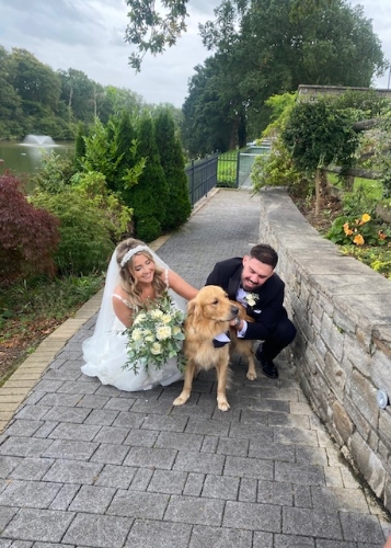 Image 1 from BarkWorks