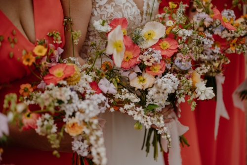 Image 3 from The Wild Zinnia