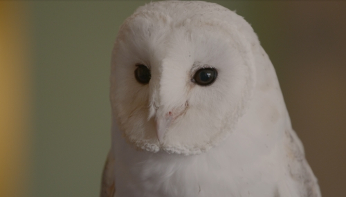 Gallery image: 73536_2.jpg 