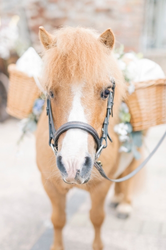 Gallery image: 73579_1.jpg 