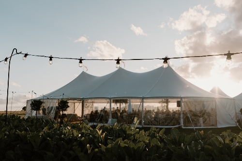 Gallery image: 73654_1.jpg 