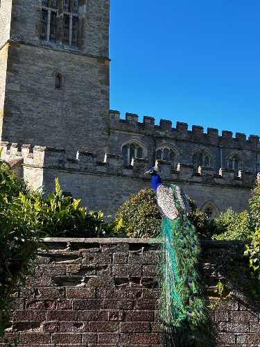 Gallery image: 73750_1.jpg 