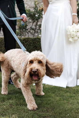 Gallery image: 73777_1.jpg 