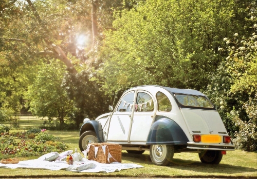 Gallery image: 73787_3.jpg 