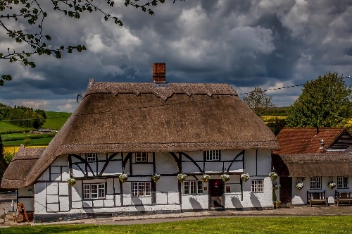 Gallery image: 73804_1.jpg 