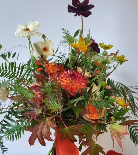 Gallery image: 73954_1.jpg 