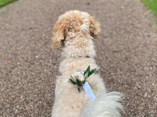 Gallery image: 73959_2.jpg 