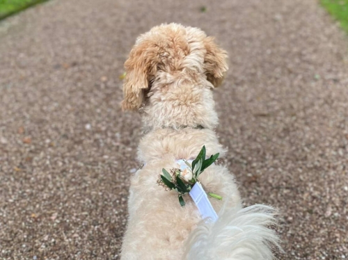 Gallery image: 74005_2.jpg 