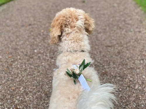 Gallery image: 74006_2.jpg 