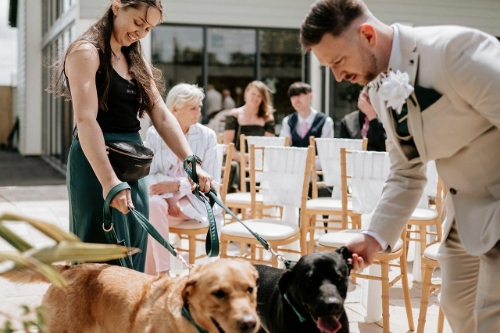 Gallery image: 74006_3.jpg 