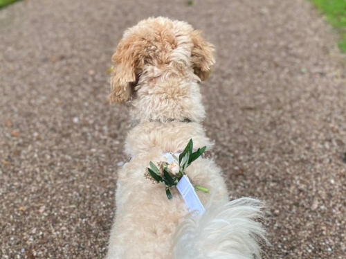 Gallery image: 74007_2.jpg 