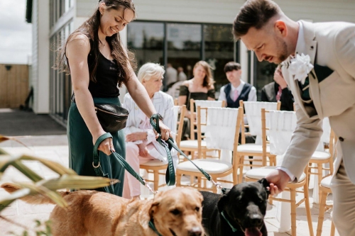 Gallery image: 74007_3.jpg 