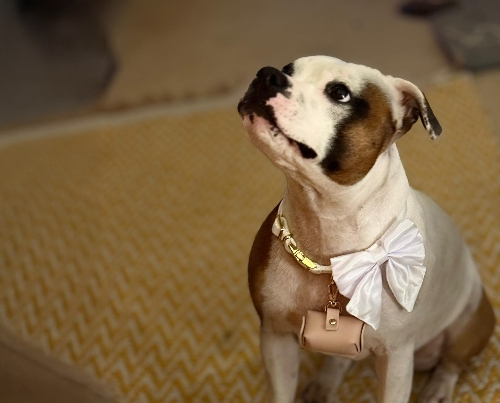 Gallery image: 74189_2.jpg 