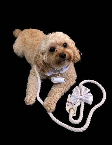 Gallery image: 74189_3.jpg 