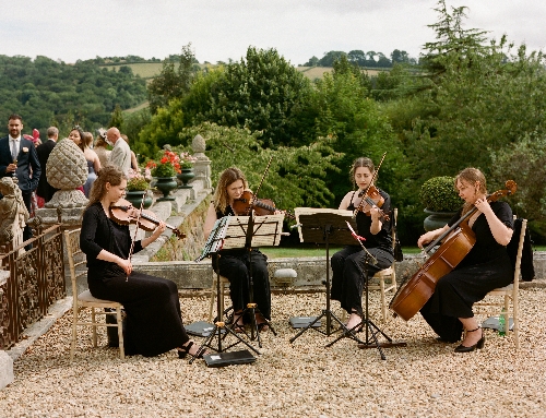 Gallery image: 74371_2.jpg 