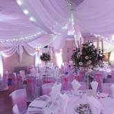 Thumbnail image 9 from Fabricate Wedding Decor