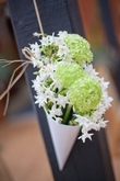 Thumbnail image 3 from Pomp and Petals