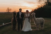 Thumbnail image 3 from Hornington Manor Farm