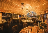 Thumbnail image 2 from Crazy Bear Hotel