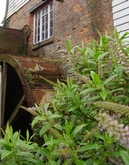 Thumbnail image 2 from Coltsford Mill