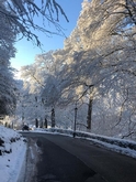 Thumbnail image 1 from Shrigley Hall Hotel & Spa