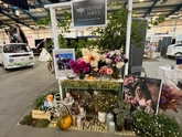 Thumbnail image 5 from Yalham Hayes Flower Farm